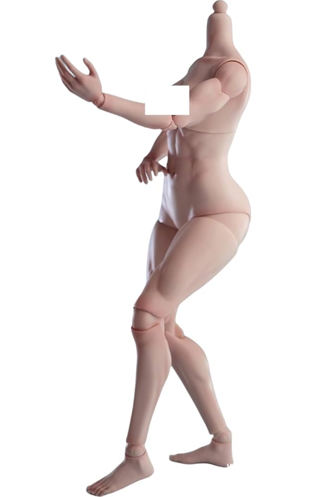 Amazon.co.jp: HiPlay Worldbox 1/6 超可動 女性 半シームレス